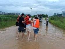 洪峰中的生命接力：肇庆怀集多部门联动护航新生