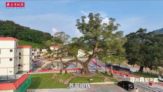 南方农村报 王富迪 拍摄