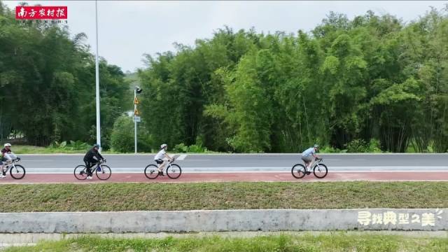 南方农村报 王富迪 拍摄