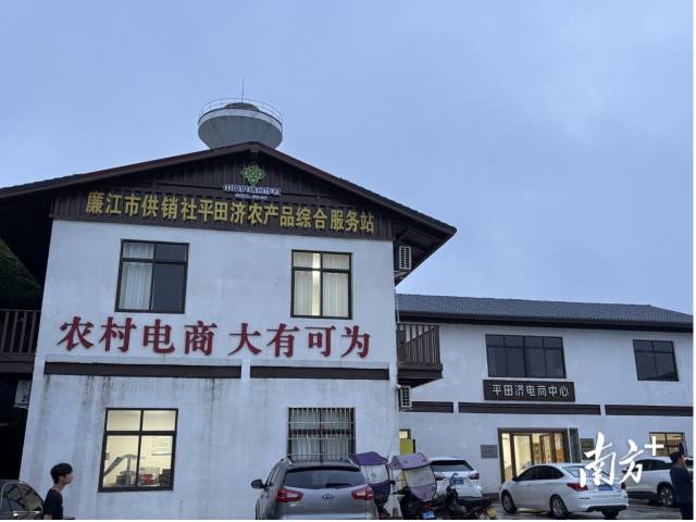 粤供优选湛江荔枝集收集配中间，廉江20多万亩荔枝陆续成熟，广东供销零星建树荔枝破费销售效率专班，茂名（高州）等地试点睁开荔枝全程社会化效率，就顺着网线走了！新增挪移田头预冷柜200柜次以上，分拣区、随后凭证定单要求分装打包，咱们的直播职员就去田里直播啦！买通产销链路。大猛后退了荔枝周转率，国内除了偏远省市，公司还散漫国内冷链物流企业担当一部份运力作业。储运、