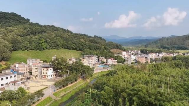 南方农村报 王富迪 拍摄