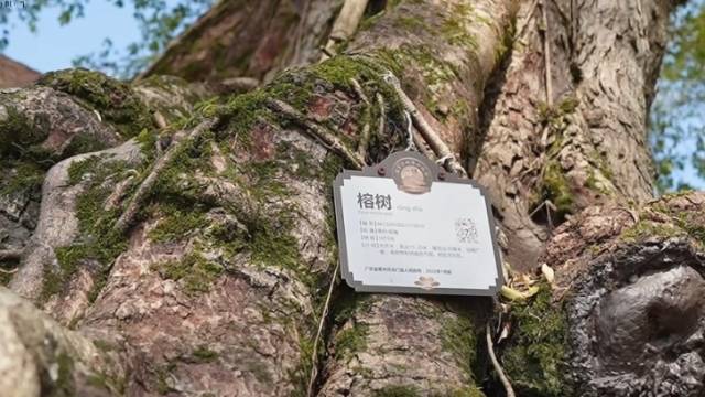 南方农村报 王富迪 拍摄