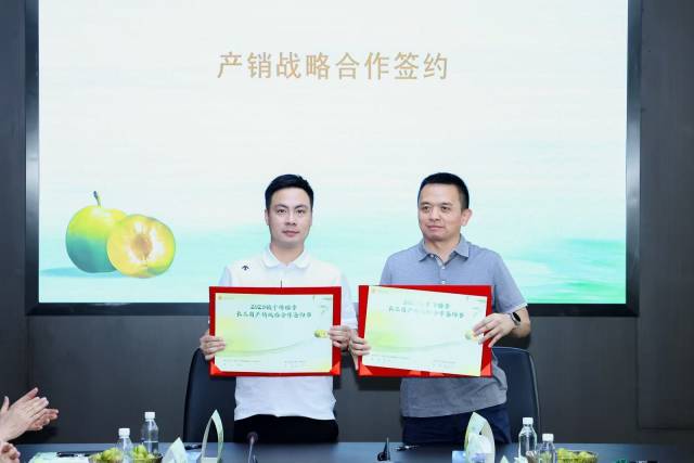 综合规画光伏行业高价无序相助
