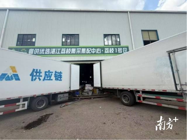 供销零星全链助“荔”香飘四海