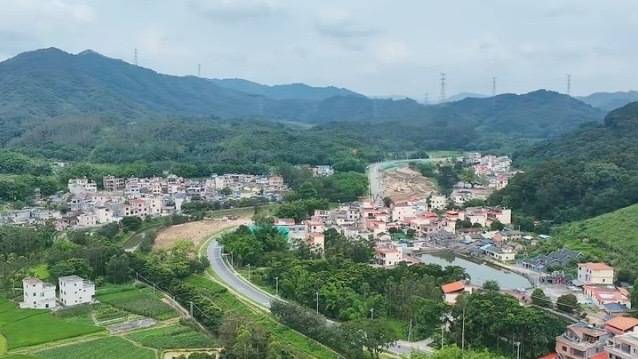 南方农村报 王富迪 拍摄