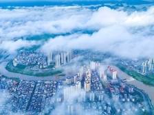 岭南六月天 | 南方+拍客一周精选