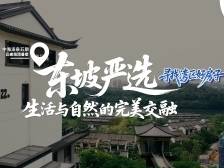 惠州：东坡严选，生活与自然的完美交融｜寻找湾区好房子