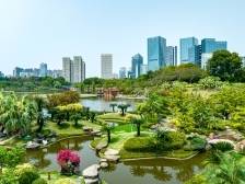 南海哪个镇街，最擅培育隐形冠军？