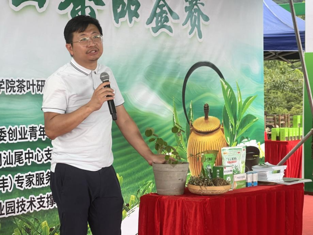 专家现场开展“茶园间作广金钱草技术培训”