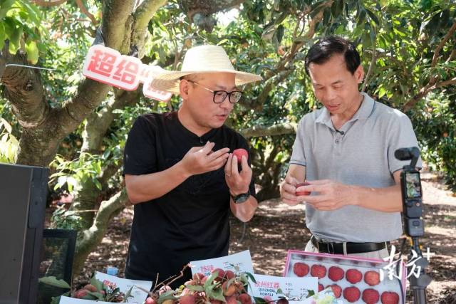 防范私域直播間誘導(dǎo)老年人買“神藥”！兩部門發(fā)布提示