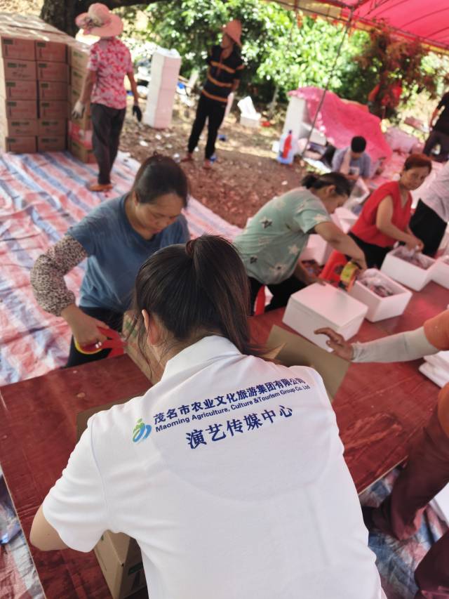 南方村落子报 李嘉镓 制图