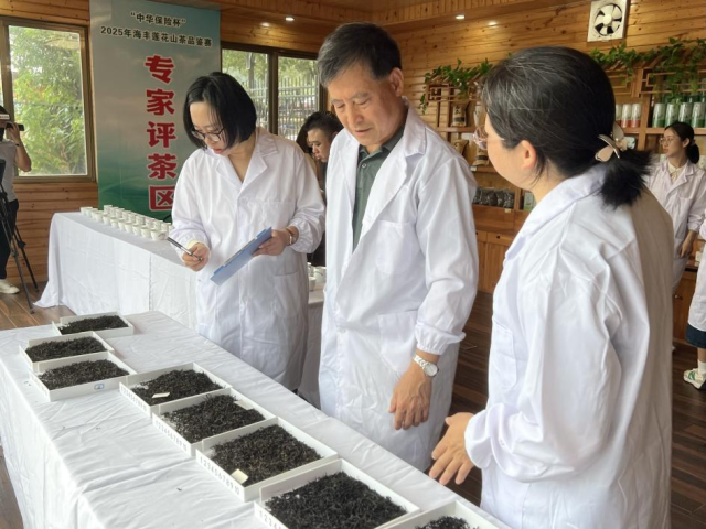 评审专家们对茶叶的各项指标进行打分