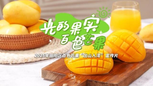 视频｜光的果实，百色芒果
