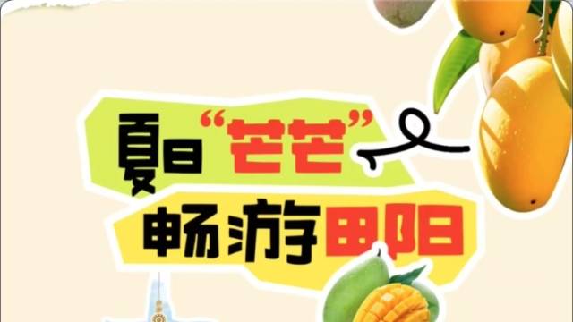 视频｜夏日芒芒，畅游田阳