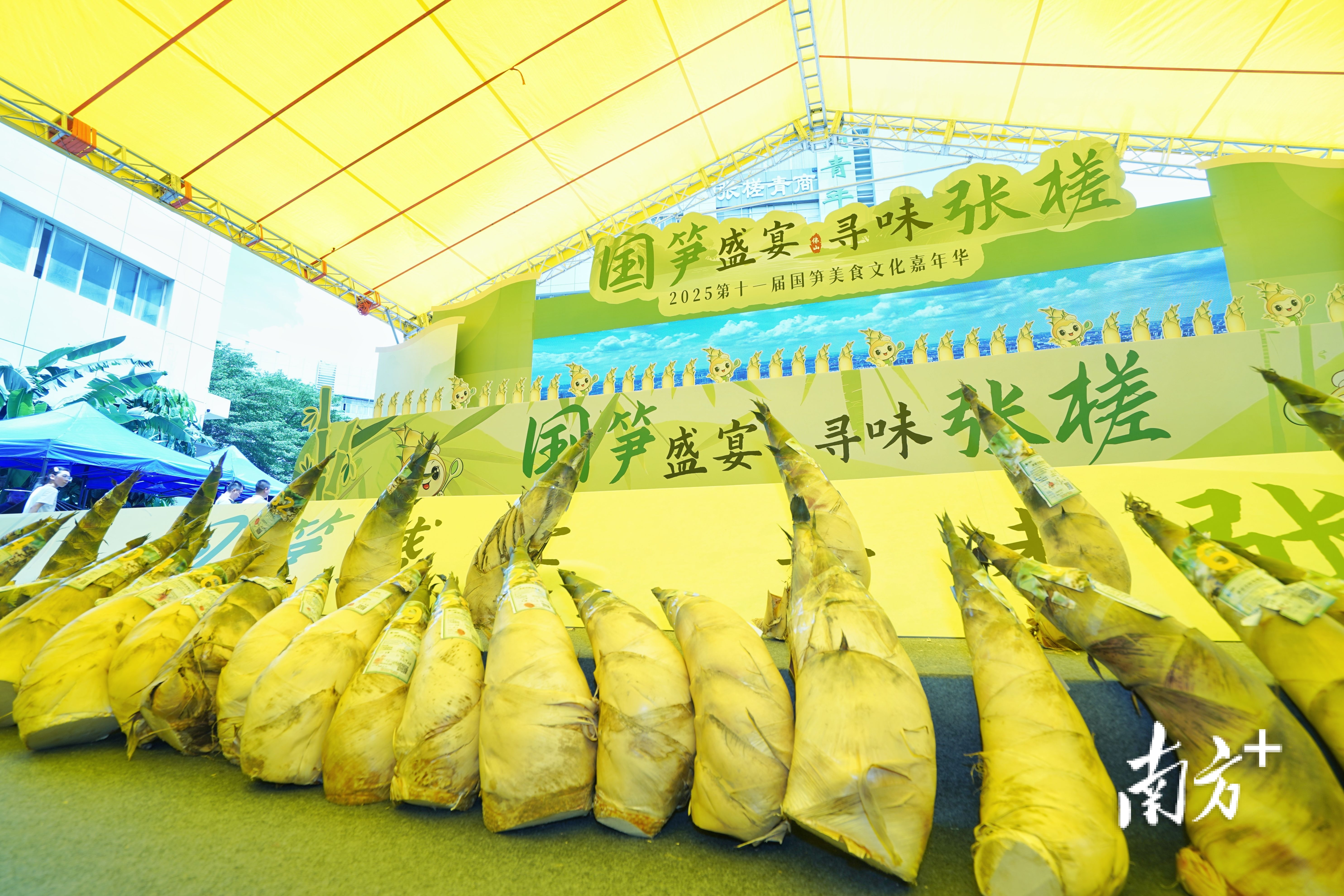 张槎以笋为媒，开启文商旅产融合“舌尖盛宴”。