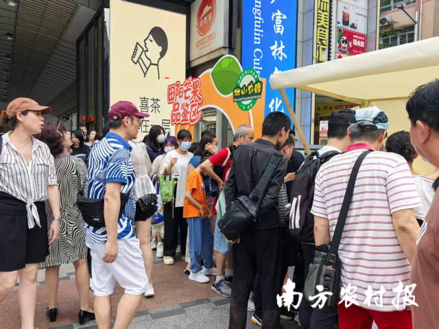 眾多灣區(qū)市民被廣州酒家X百色芒果（田陽）聯(lián)名甜品吸引。