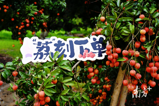 （财经天下）欧法院“泼冷水” 谷歌反垄断案遇挫