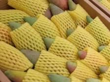 今年首批百色芒果（田阳），抵达广州市北京路