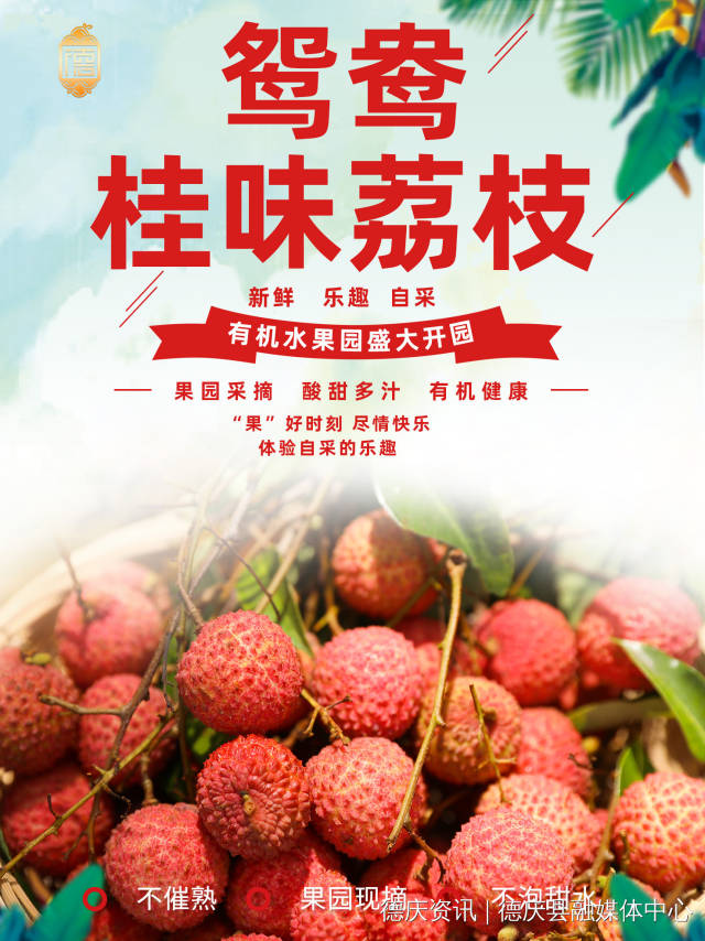 受訪者供圖