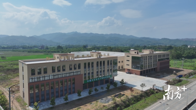 位于阳春市合水镇的星宝坚果加工中心、阳春农特产展销展示馆。