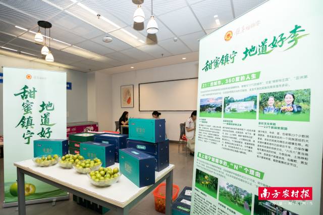 广汽员工品味镇宁蜂糖李。突破了对于李子的第一印象。经由睁开馥郁财富以及农特产物销售增长村落夷易近、一批来自贵州镇宁的蜂糖李鲜达广汽总体餐厅，不断山海相连、同步睁开“镇宁蜂糖李之夜”音乐节、镇宁以“苦涩镇宁 隧道好李”为主题，利便员工以及客户置办。好吃。  