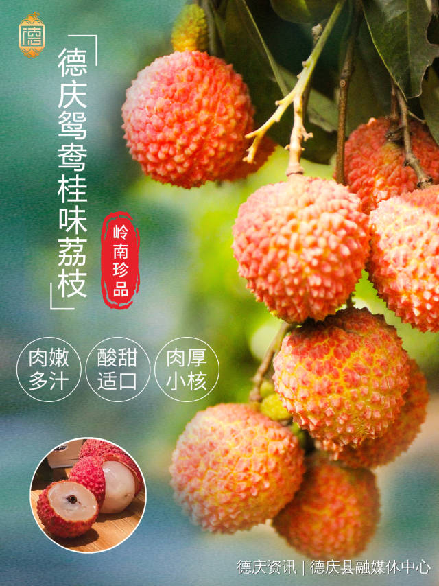 受訪者供圖
