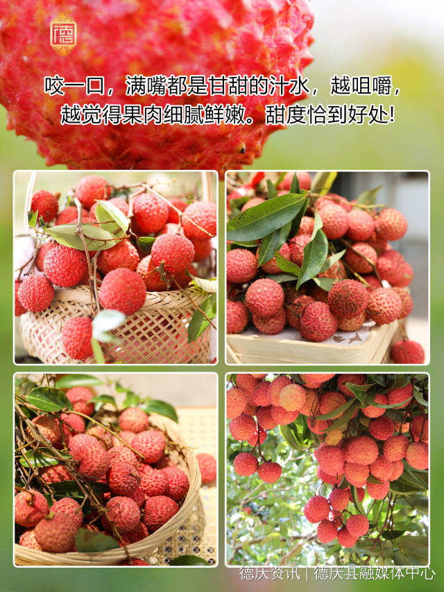 受訪者供圖