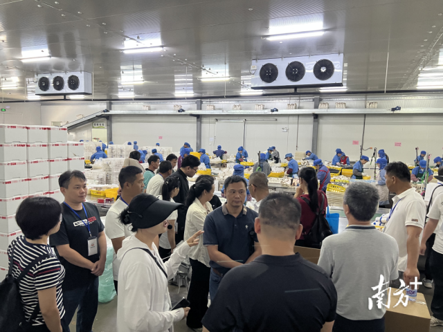 Frasers Group强势发声 反对于Hugo Boss股息调配
