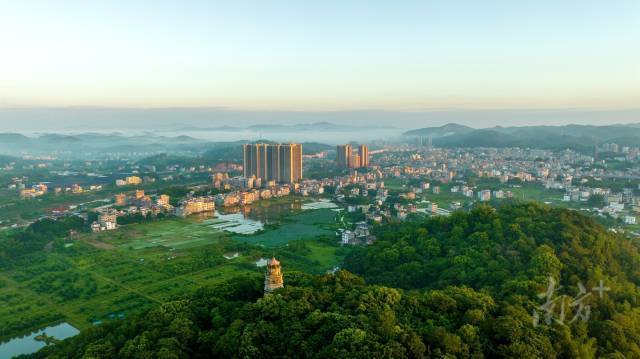 好生态为五华县群众带来更多绿色产业项目。五华县委宣传部供图