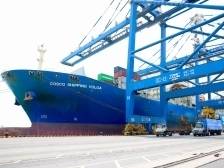 70%高增速！关税风波下，南沙跨境电商为何“不慌”？｜南方深读