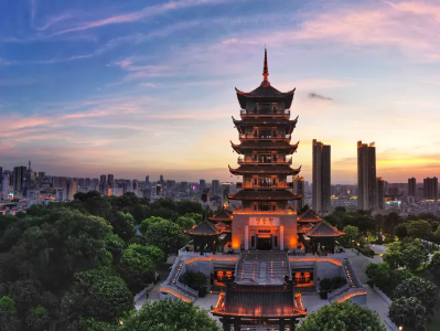 农村居民人均可支配收入超4.3万元！佛山城乡共富迈出坚实步伐