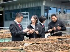 新会法院会城法庭：葵乡“枫”景，和润万家