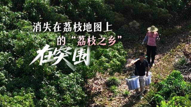 蹲点河源古竹镇：消失在荔枝地图上的“荔枝之乡”，在突围