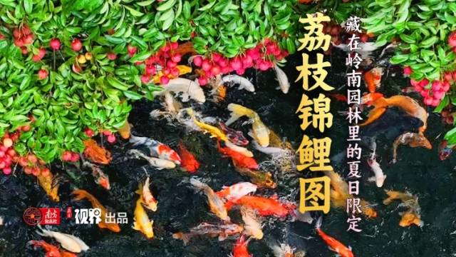 独属于岭南的古典美——广州番禺宝墨园“荔枝锦鲤图”