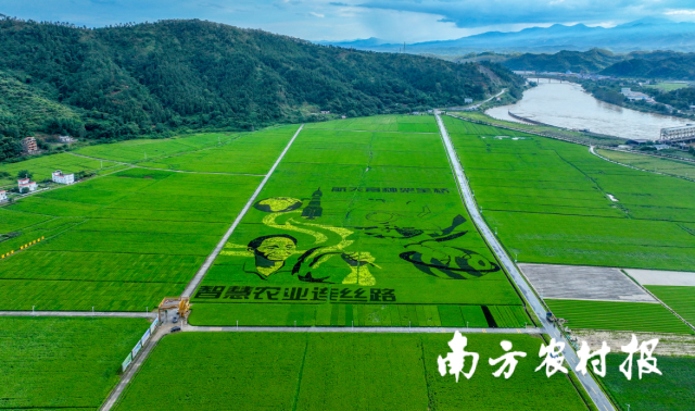 河源市東源縣柳城鎮(zhèn)東源萬綠智慧無人農(nóng)場