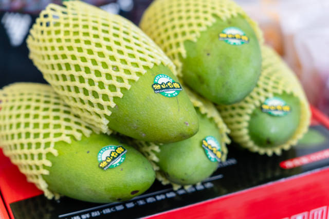 相约6月26日！“桂字号”金名片百色芒果（田阳）将赴成都推介