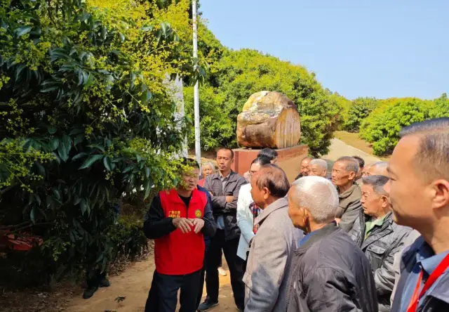 “大井桂味”出圈，有这么一个“最强后盾团”