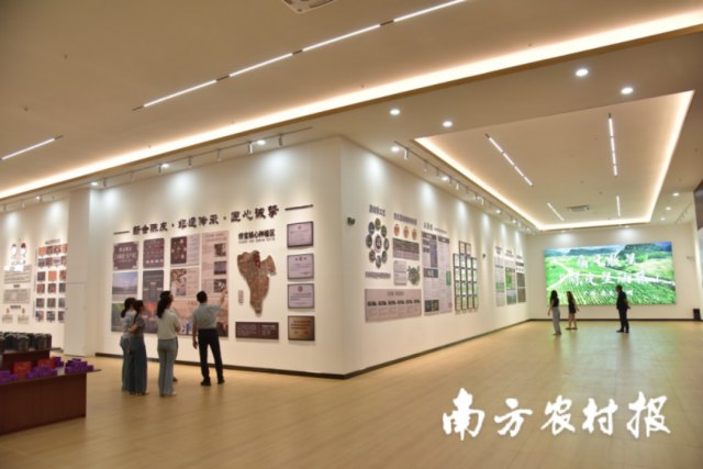 粤桂协作陈皮星油藤展示中心。