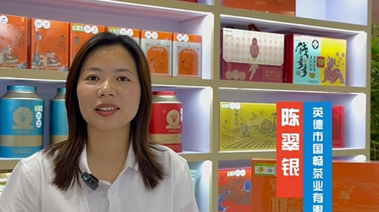 在濟南茶博會，國暢金毛毫受熱捧