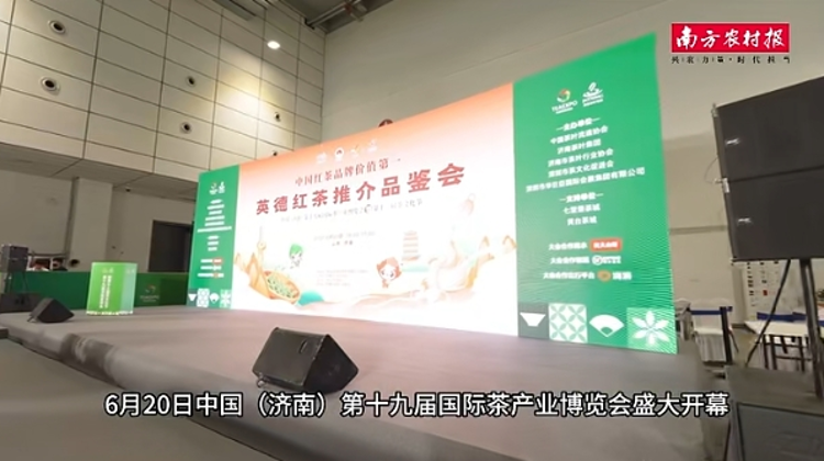 英德紅茶在濟南圈粉了！現(xiàn)場茶友熱烈互動,！
