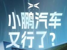 小鹏汽车，又行了?｜鹏友圈