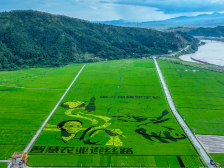 我们为什么对土地粤爱粤深沉？|全国土地日·观察