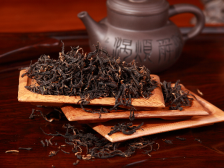 以茶会友，一盏粤茶“香”约新疆|舌尖六味·尝尽岭南⑥