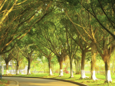 广东高等教育竞争力位居前五！2025年大学第三方指数得分排名出炉