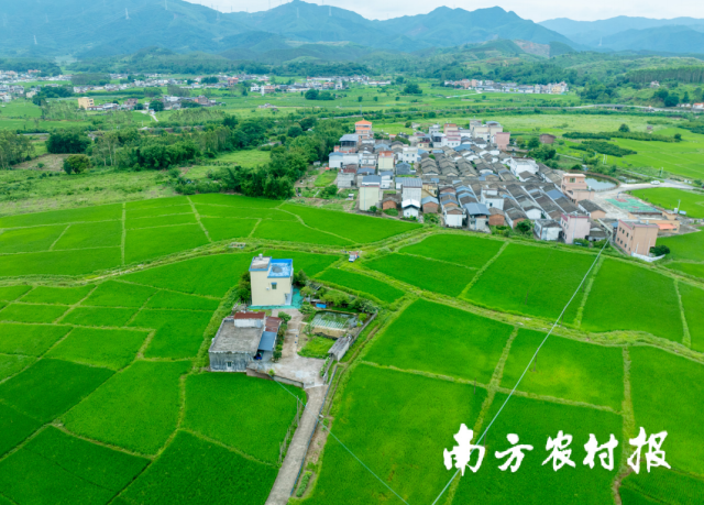 清遠市佛岡縣水頭鎮(zhèn)耕地集中整治區(qū)