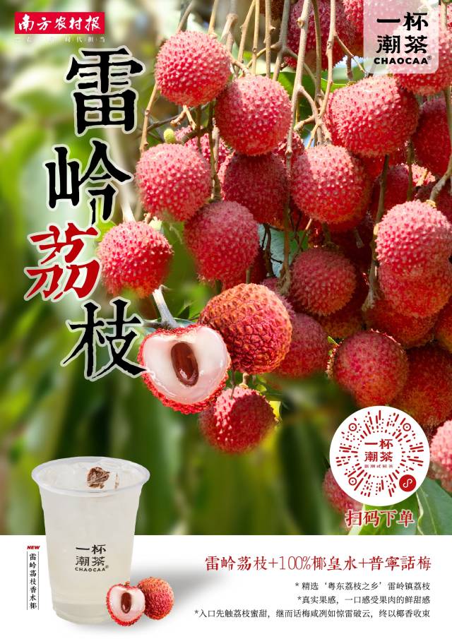 一口荔香,夏日沁凉,雷岭荔枝香水椰上线