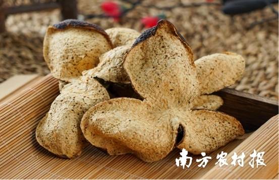 受訪者供圖