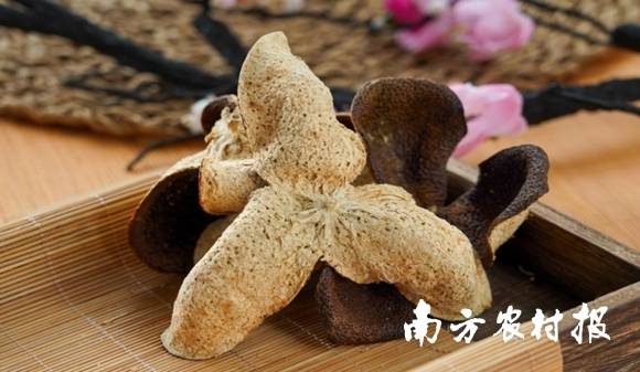 受訪者供圖