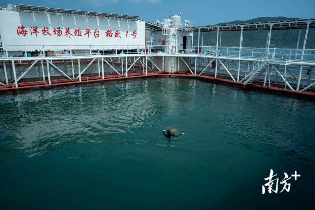 4月9日,潜入水下观察完章红鱼的生长状况后,黄锦尧浮出了水面。 4月9日,潜入水下观察完章红鱼的生长状况后,黄锦尧浮出了水面。