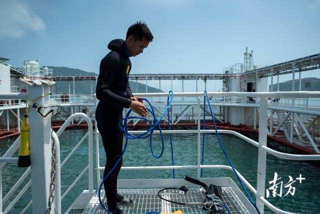 4月9日,潜水员黄锦尧穿好了潜水服准备潜水,观察网箱中养殖章红鱼的生长状况。 4月9日,潜水员黄锦尧穿好了潜水服准备潜水,观察网箱中养殖章红鱼的生长状况。